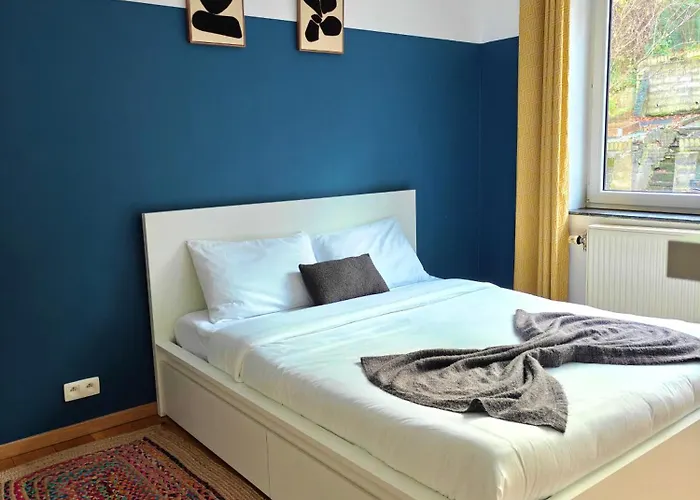 Maison Spacieuse, Sereine Proche Du Coeur De La Et De La Gare *